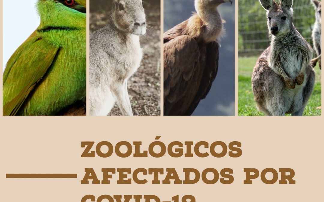 Zoológicos afectados por Covid-19