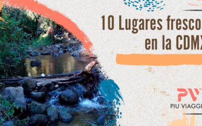 10 lugares frescos en la CDMX